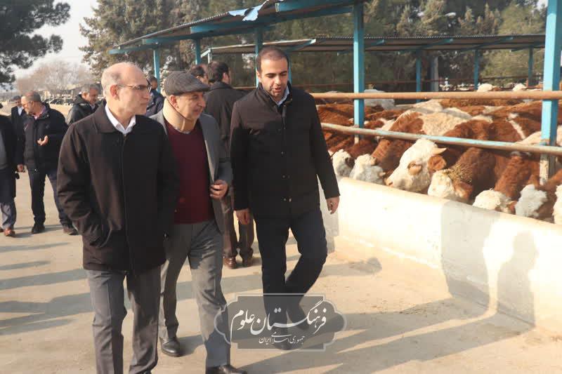 امنیت غذایی 3